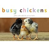 Busy Chickens