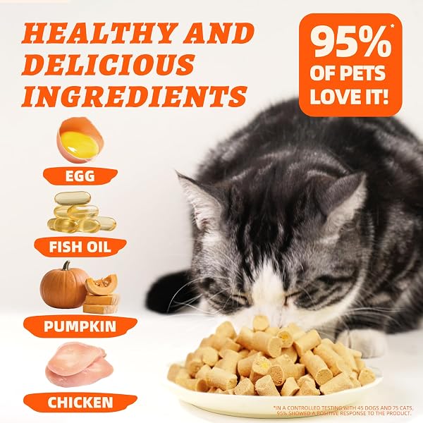 WELLIX CHICKEN & PUMPKIN RAW TREAT – FREEZE DRIED CHICKEN SNACKS, PET FOOD TOPPER, GRAIN FREE, CRUNCHY CAT TREATS FOR INDOOR CATS – FOR SMALL, MEDIUM & LARGE CATS & DOGS – 4.59 OZ
