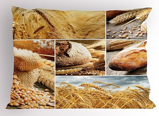 Amazon Com Ambesonne Harvest Pillow Sham Various Stages Of Bread