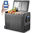 BODEGACOOLER 12 Volt Car Refrigerator, 61Quart (58L) Car Fridge WIFI APP Control, Protable Freezer -4℉-68℉, RV Electric Cooler 12/24V DC 100-240V AC for Outdoor, Truck, Van, Vehicles, Camping, Travel