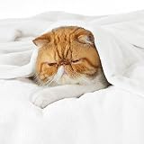 Bedsure Fleece Throw Blanket 150x200 cm Ivory 100% Microfibre Soft view 3