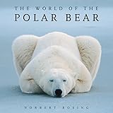 Never Look A Polar Bear In The Eye A Family Field Trip To
