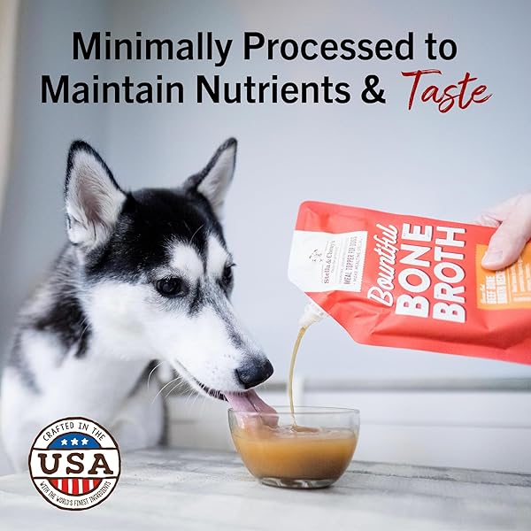 STELLA & CHEWY’S HUMAN-GRADE GRASS-FED BEEF BONE BROTH FOR DOGS – JOINT & GUT HEALTH LIQUID FOOD TOPPER WITH COLLAGEN & TURMERIC, 16 FL OZ RESEALABLE POUCH