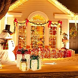LAMPHOME 70 LED Christmas Set of 3 Lighted Clear
