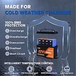 LiTime 12V 100Ah Self-Heating LiFePO4 Lithium