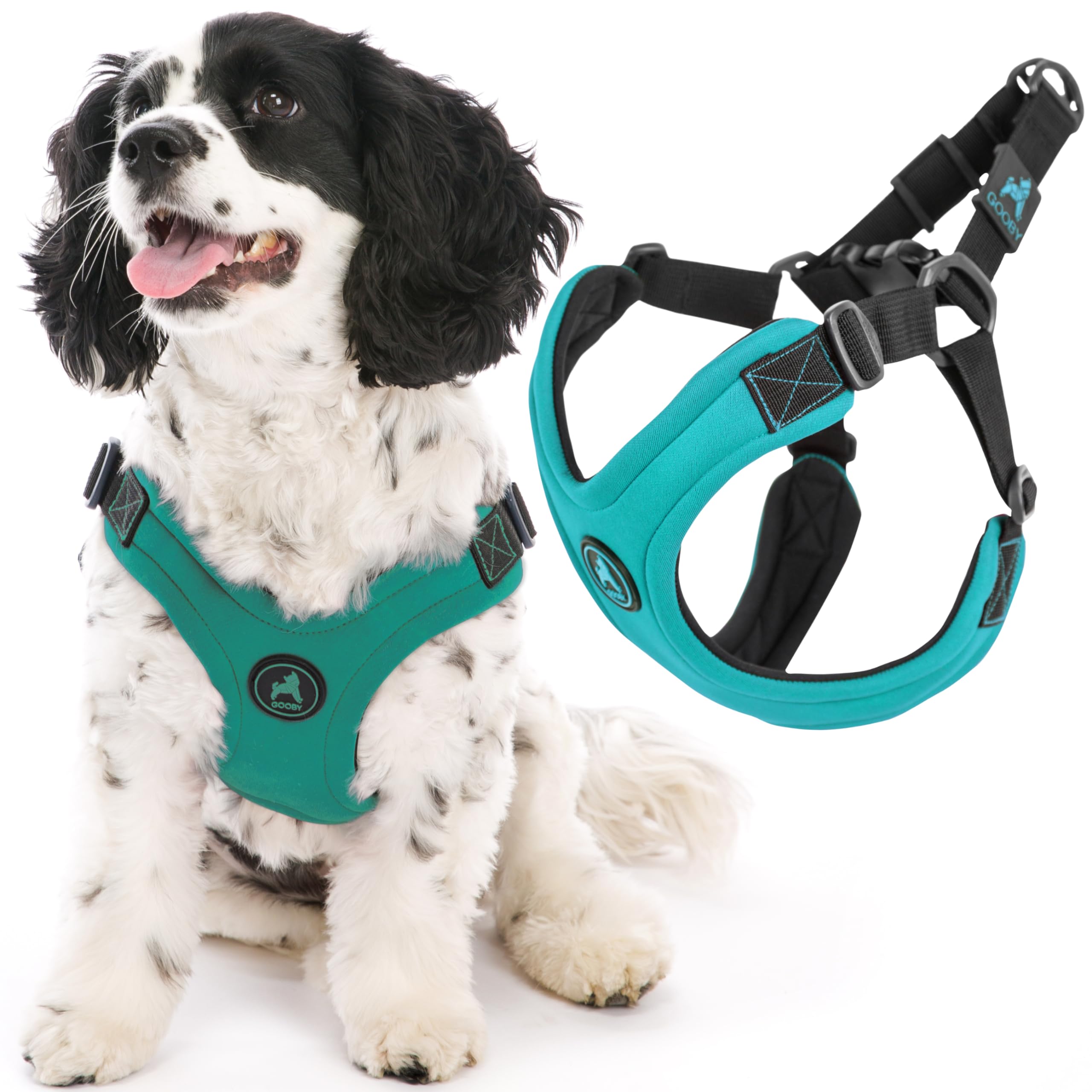 Photo 1 of Gooby Escape Free Sport Harness - Turquoise, Small - No Choke Step-in Patented Neoprene Dog Harness with Four-Point Adjustment for Small to Medium Dogs