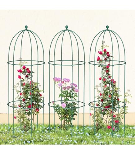 Peony Cages And Supports Set Peony Plant Support Frame Metal s