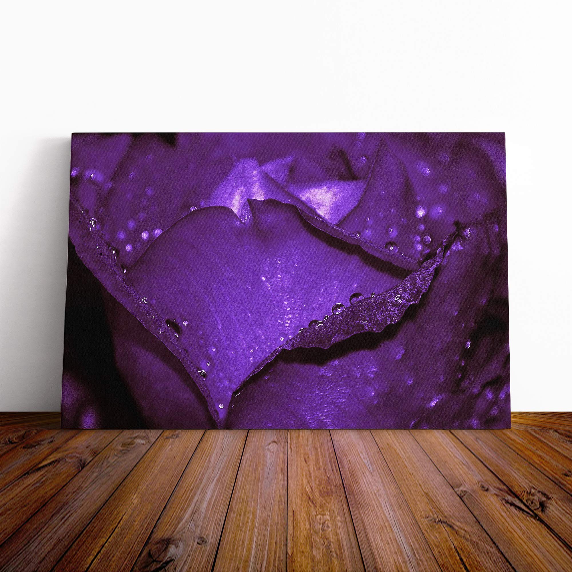 Flower Purple Rose (5) Canvas Print | Gallery Wrapped 30mm Frame Wall Art | 20x14 inches | Ready to Hang | Modern Floral Picture | Living Room Bedroom Lounge Office