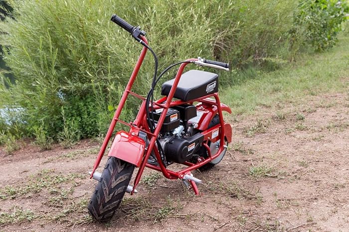 stores that sell mini bikes