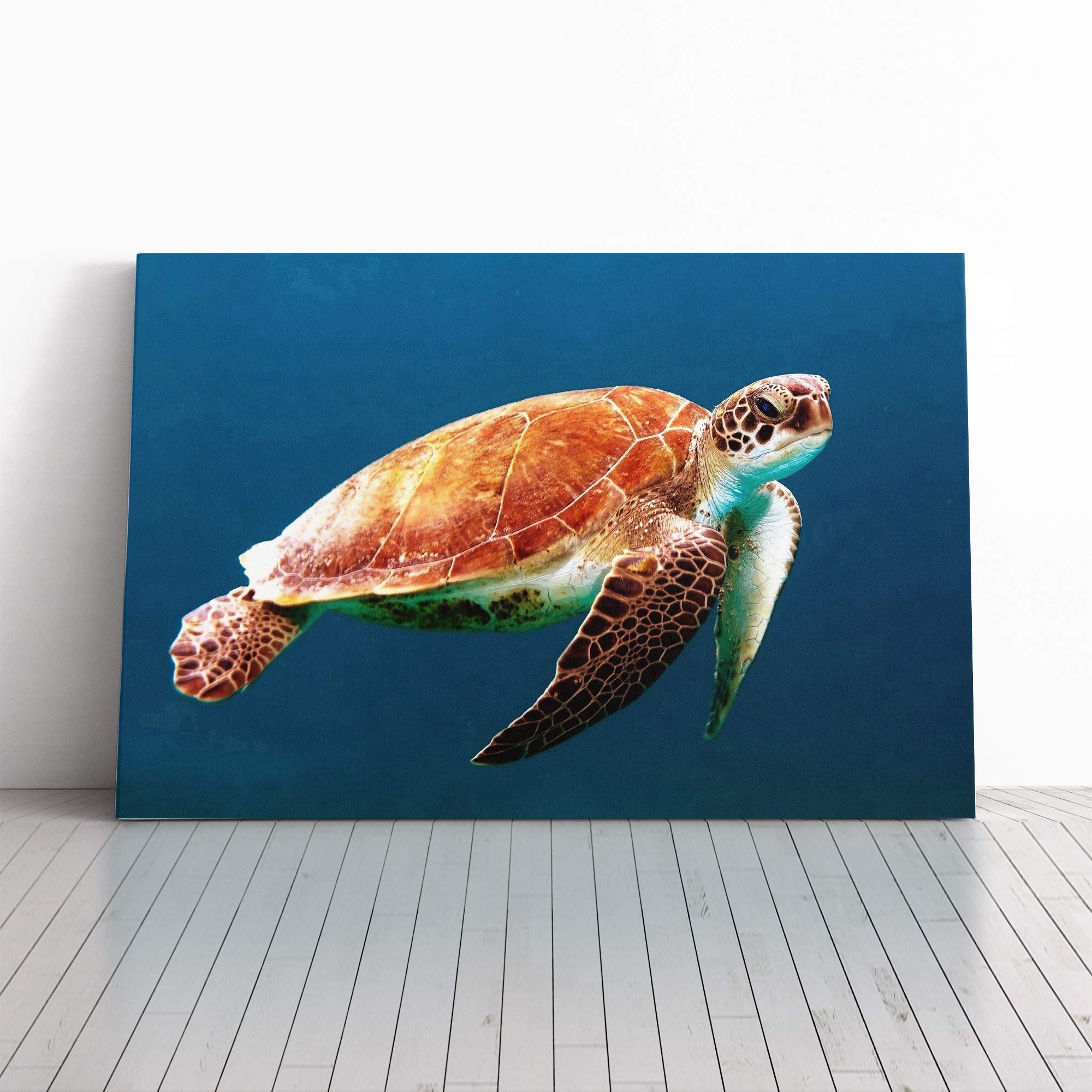 Sea Turtle Vol.3 Canvas Print | Gallery Wrapped 30mm Frame Wall Art | 20x14 inches | Ready to Hang | Modern Animals Picture | Living Room Bedroom Lounge Office