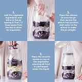 Kilner 3L Fermentation Set Glass Jar with Silicone Lid & Weights view 6
