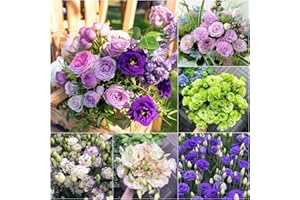 WIVOLIBE Double Lisianthus Seeds for Planting - 100 Annual Lisianthus Seeds Double Flower Seeds Non-GMO Heirloom Lisianthus Seeds