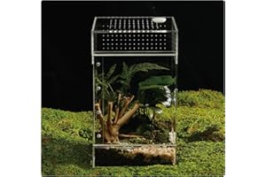 LIZ QNNALY Acrylic Terrarium for Reptiles & Spiders – Small/Medium/Large Leak-Proof Enclosure (Horizontal/Vertical) | Ideal for Tarantulas, Jumping Spiders, Frogs & Geckos (Large Vertical)