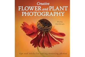Creative Flower and Plant Photography: tips and tricks for taking stunning shots
