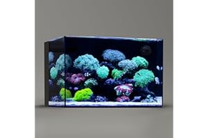 Landen 60P 26.23 Gallon Ultra Clear All Glass Rimless Low Iron Aquarium Tank with Rear Filtration Chamber for Salt and Fresh (Return Pump Included) 23.6Wx17.7Dx15.8H in(60x45x40cm) 8mm Thickness
