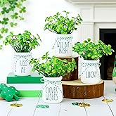 St. Patrick’s Day Decorations, 4 Pcs St.Patrick's Day Mini Mason Jars with Artificial Shamrock, White Glass Vases with Cork Lids for School, Home, Table Centerpiece Decor