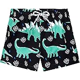 Durio Boys Swim Trunks Quick Drying Toddler Swim Trunks Summer Swim Shorts Boys Bathing Suit Swimwear for Boy Infant