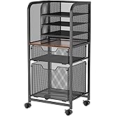 Feyejade 6-Tier Rolling File Cart with 2 Drawers, File Cabinet Organizer for Hanging File Folders, Letter-Size File Storage with Wheels, Multi-Layer Mobile Filing Cabinet for Office and Home