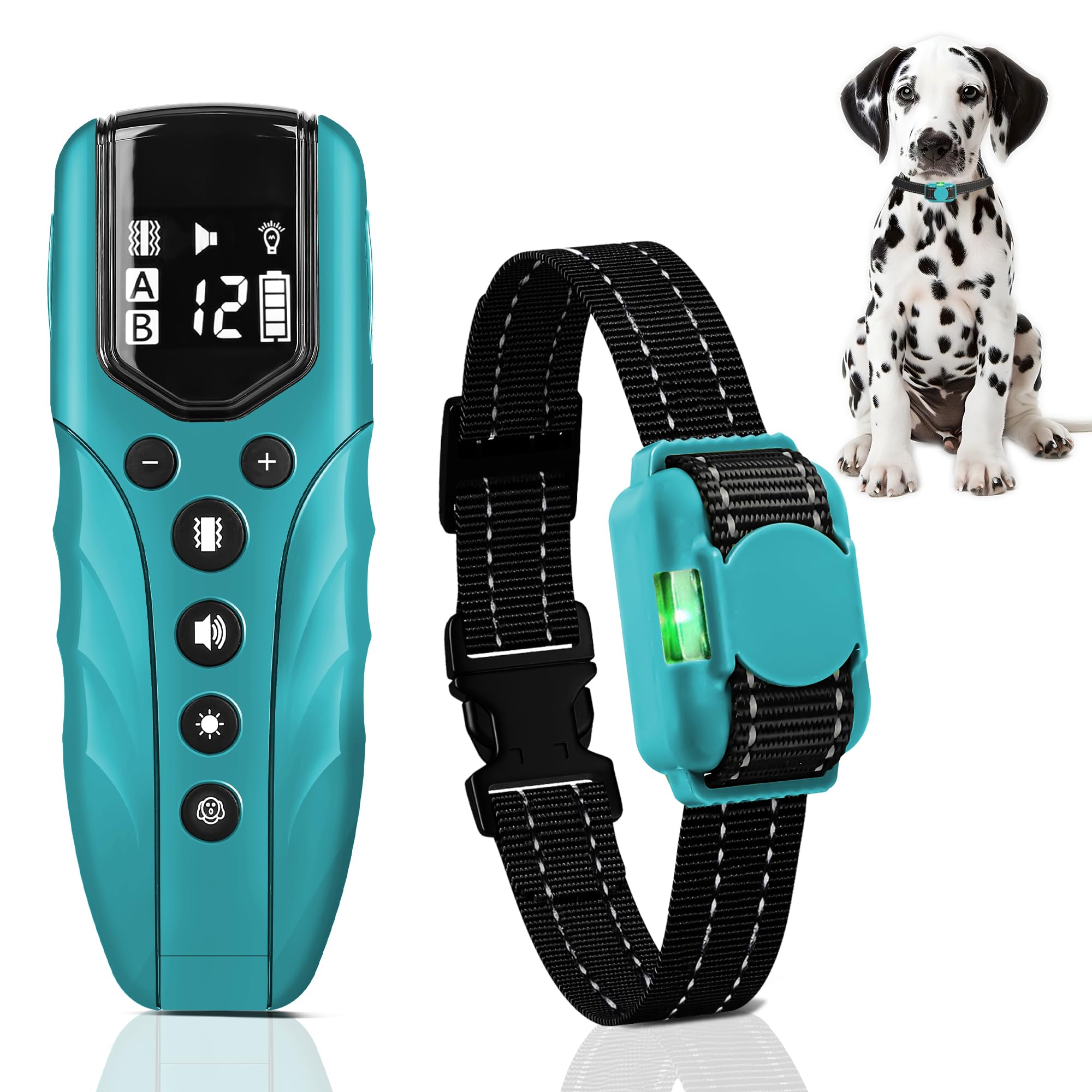 Dog Collar