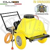 Motopompa Irrorazione A Scoppio - Per Diserbo, Trattamenti E Disinfestazioni, Gruppo Irrorazione Professionale