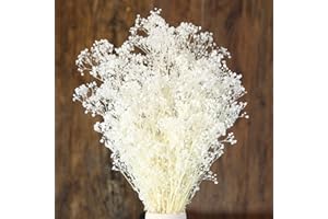 TAVKITE Dried Flowers Babys Breath Bouquet, 3000+ Natural Baby Breath Flowers, 17'' Real Gypsophila Branches Bulk, Dry Flowers for Wedding, Farmhouse Table Vase Decor, Wreath Floral, Home Party Decoration