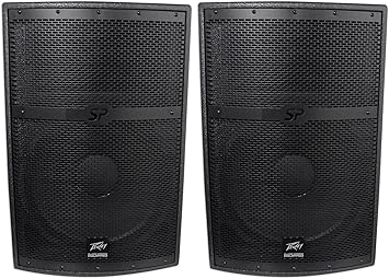 peavey sp 2g pa speakers