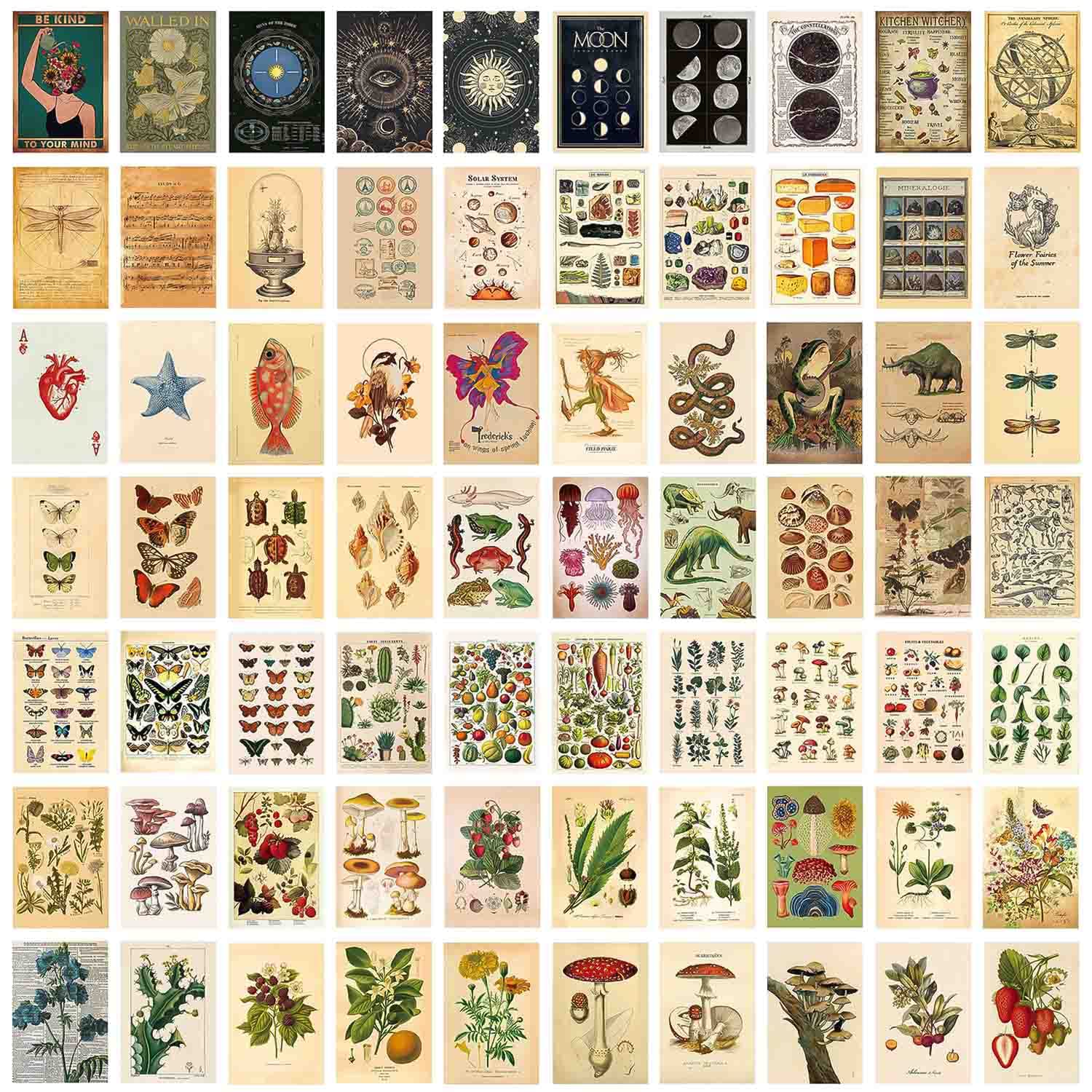 TYFYH 70Pcs Vintage Botanical Wall Collage Kit, Aesthetic Posters for Bedroom Decor, Indie Cottagecore Room Prints, Wall Prints for Girls Boys Dorm Wall Decor