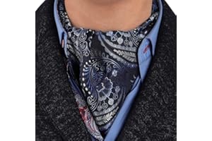 Epoint Men's Fashion Classic Paisley Cravat Silk Ascot Tie Hanky Set, With Box Set