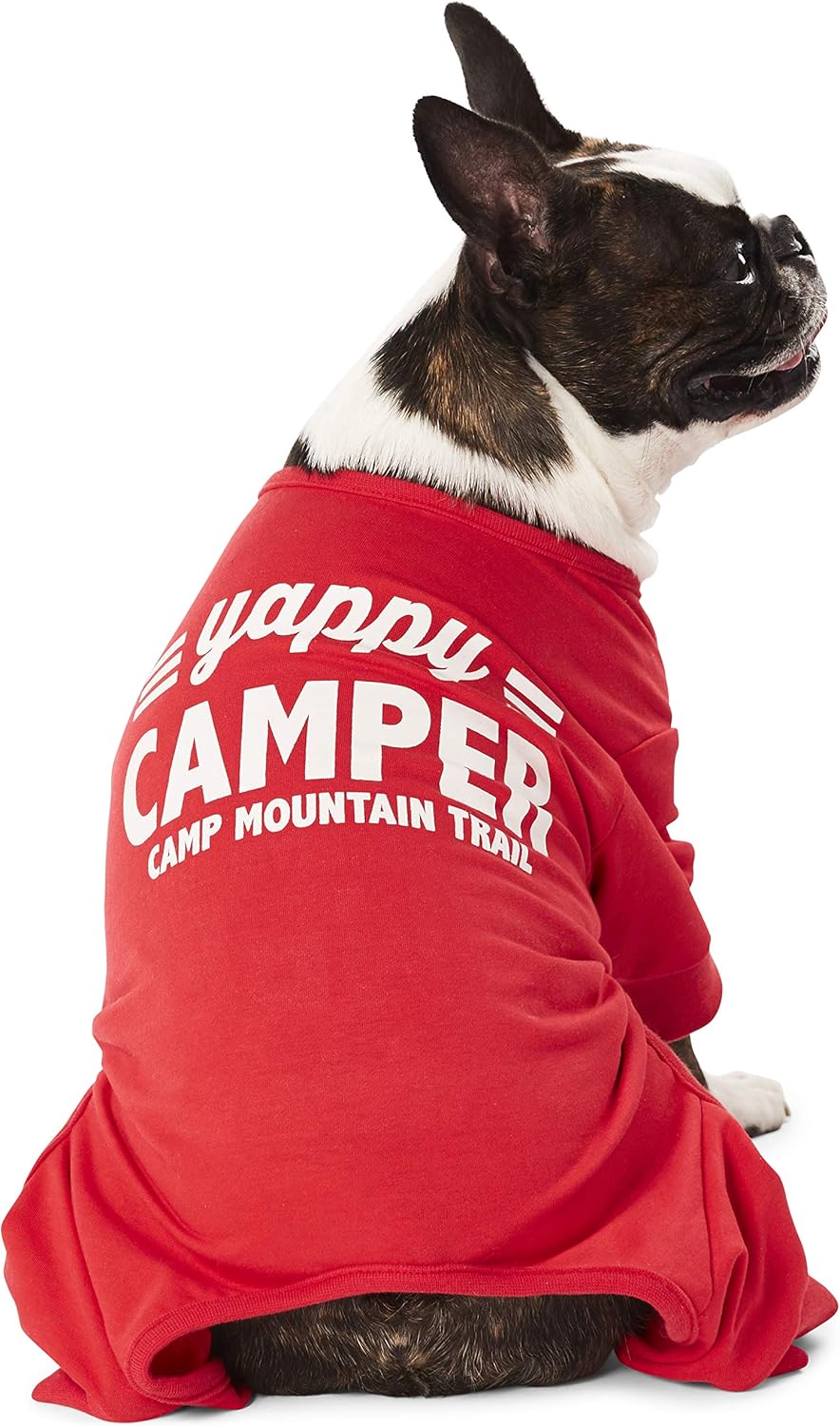 yappy doggy day care