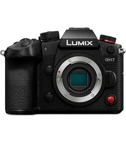 Amazon.com : Panasonic LUMIX GH5 4K Mirrorless Digital Camera