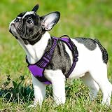 Eagloo Dog Harness Small Adjustable Soft Padded Front Clip Reflective Purple S view 9