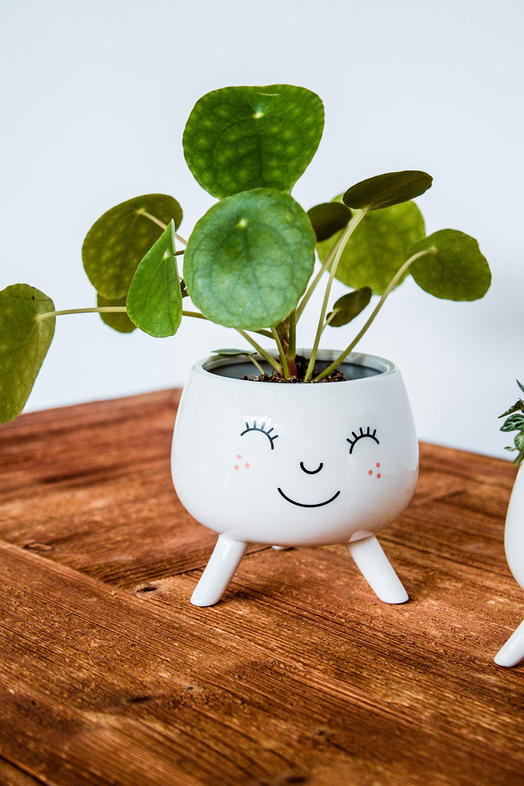 Ivyline Cacti face pot with Legs D10cm White