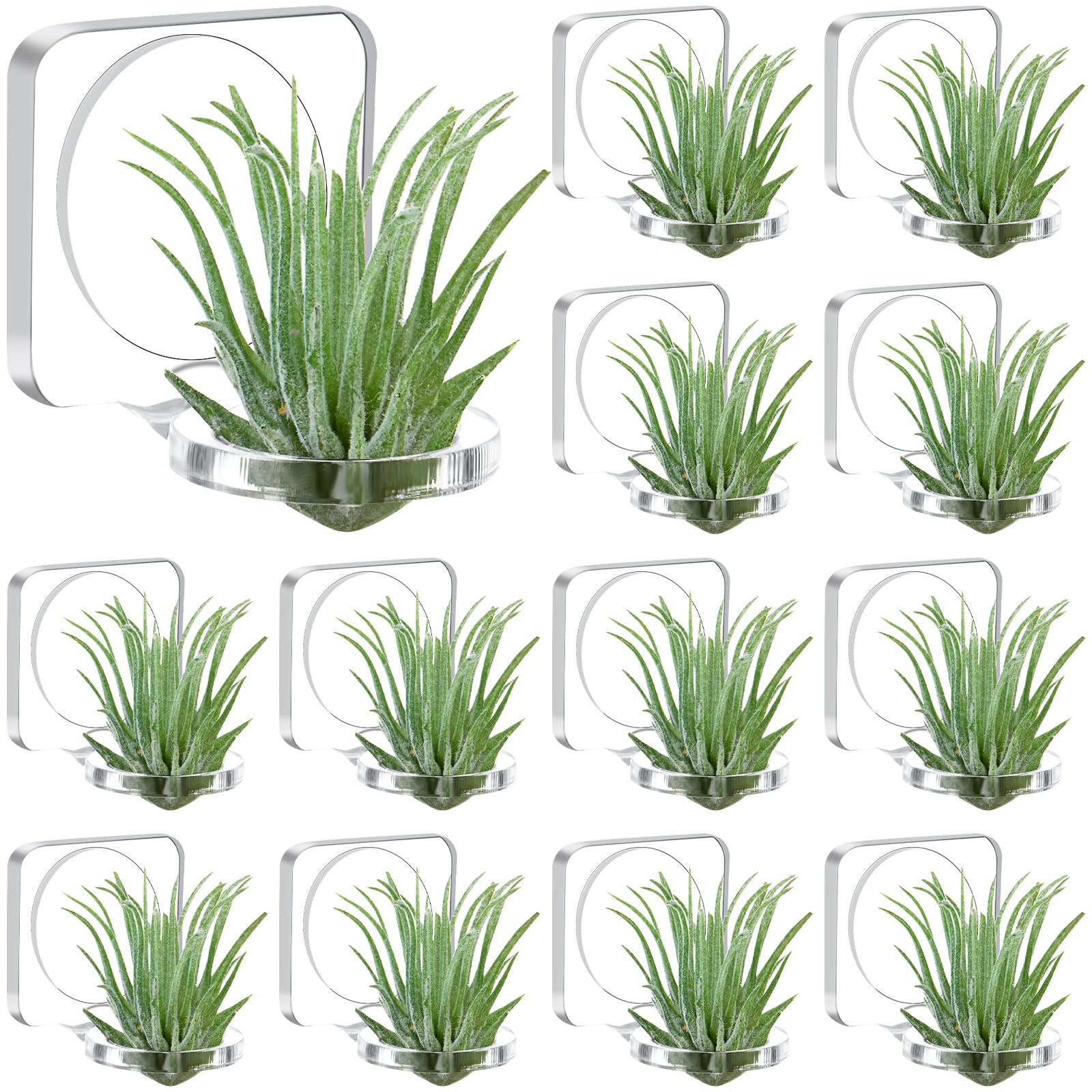 Photo 1 of Jetec 12 Pcs Acrylic Air Plants Holder Hanger with Mounting Tape for Hanging Air Plants on Glass Display Home Decoration