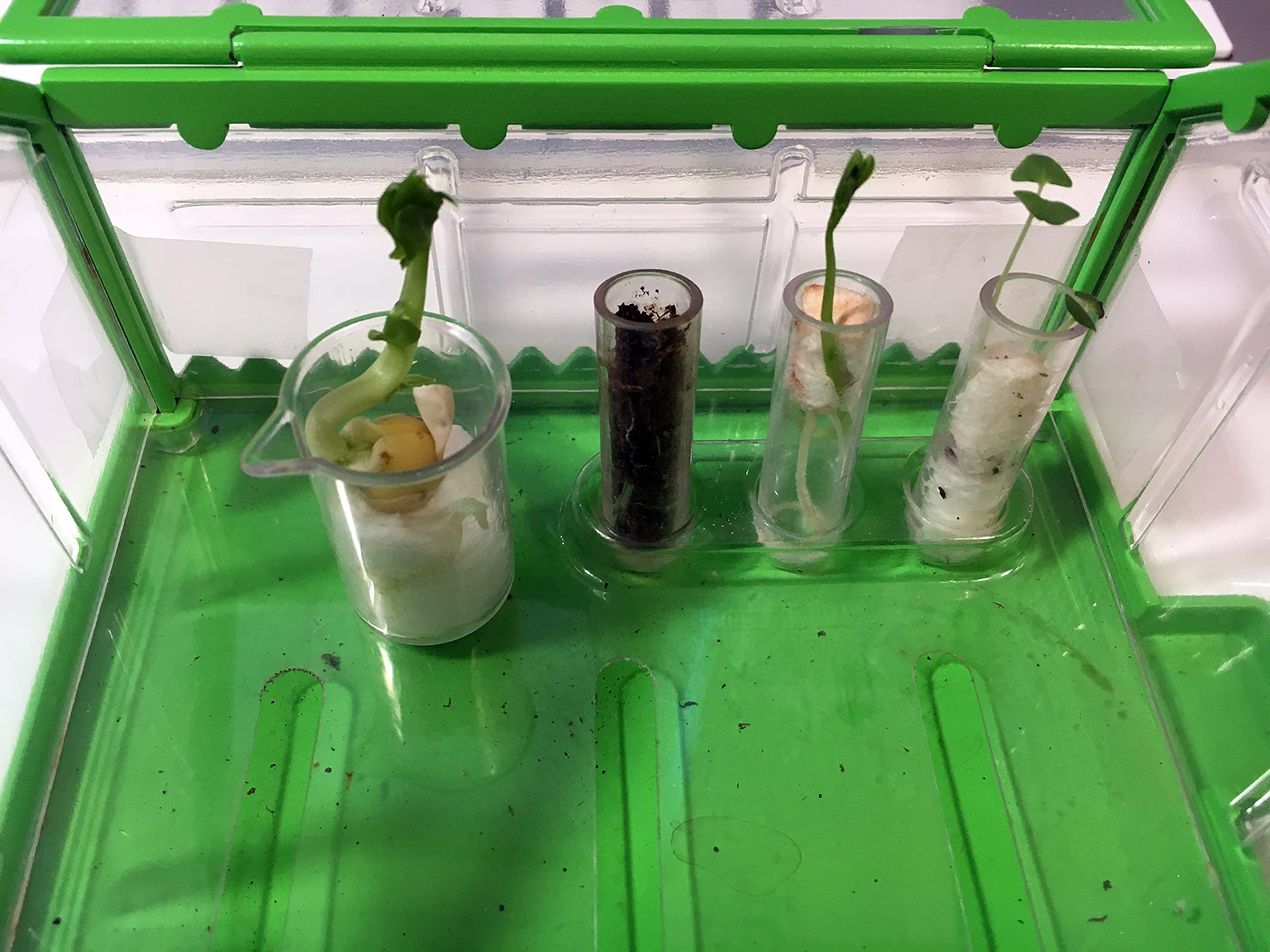 SmartLab Toys TINY Gardening with 20 Enormously Fun Growing Activities. Big Science. Tiny Tools.