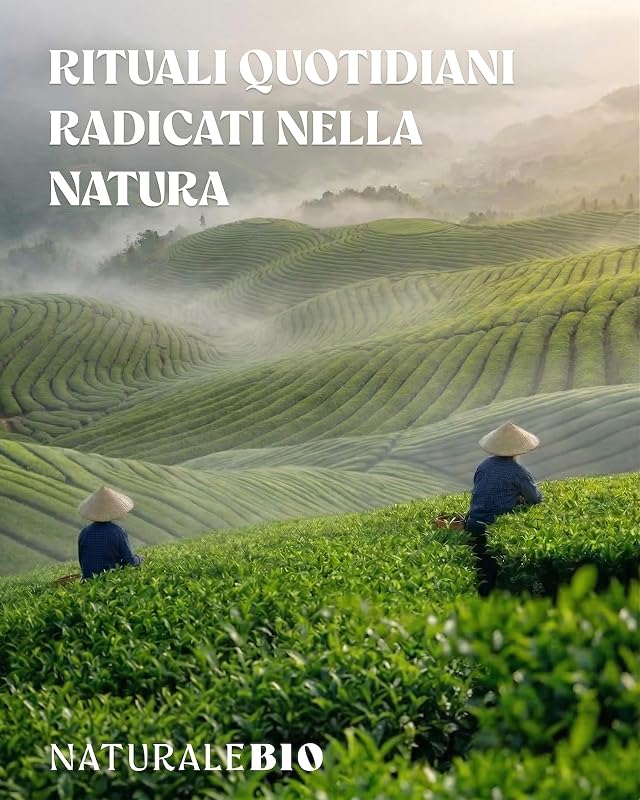 Matcha Premium Giapponese Bio in Polvere con L-Teanina
