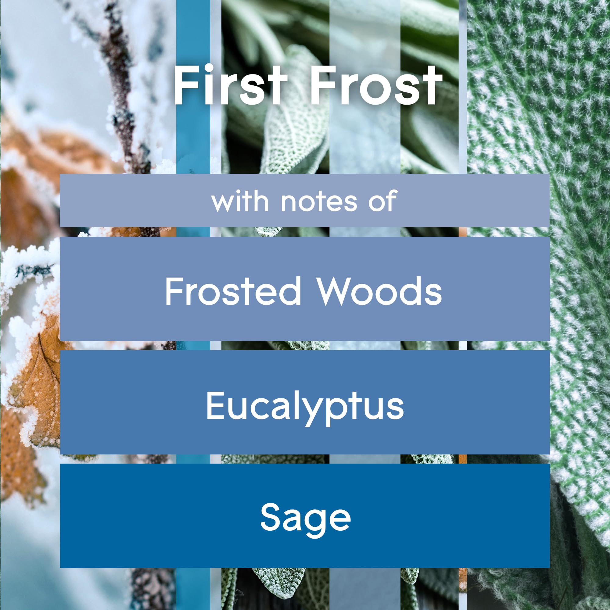 Glade PlugIns Refills Air Freshener, Scented and Essential Oils for Home and Bathroom, First Frost, Limited Edition Scent, 3.35 Fl Oz, 5 Count