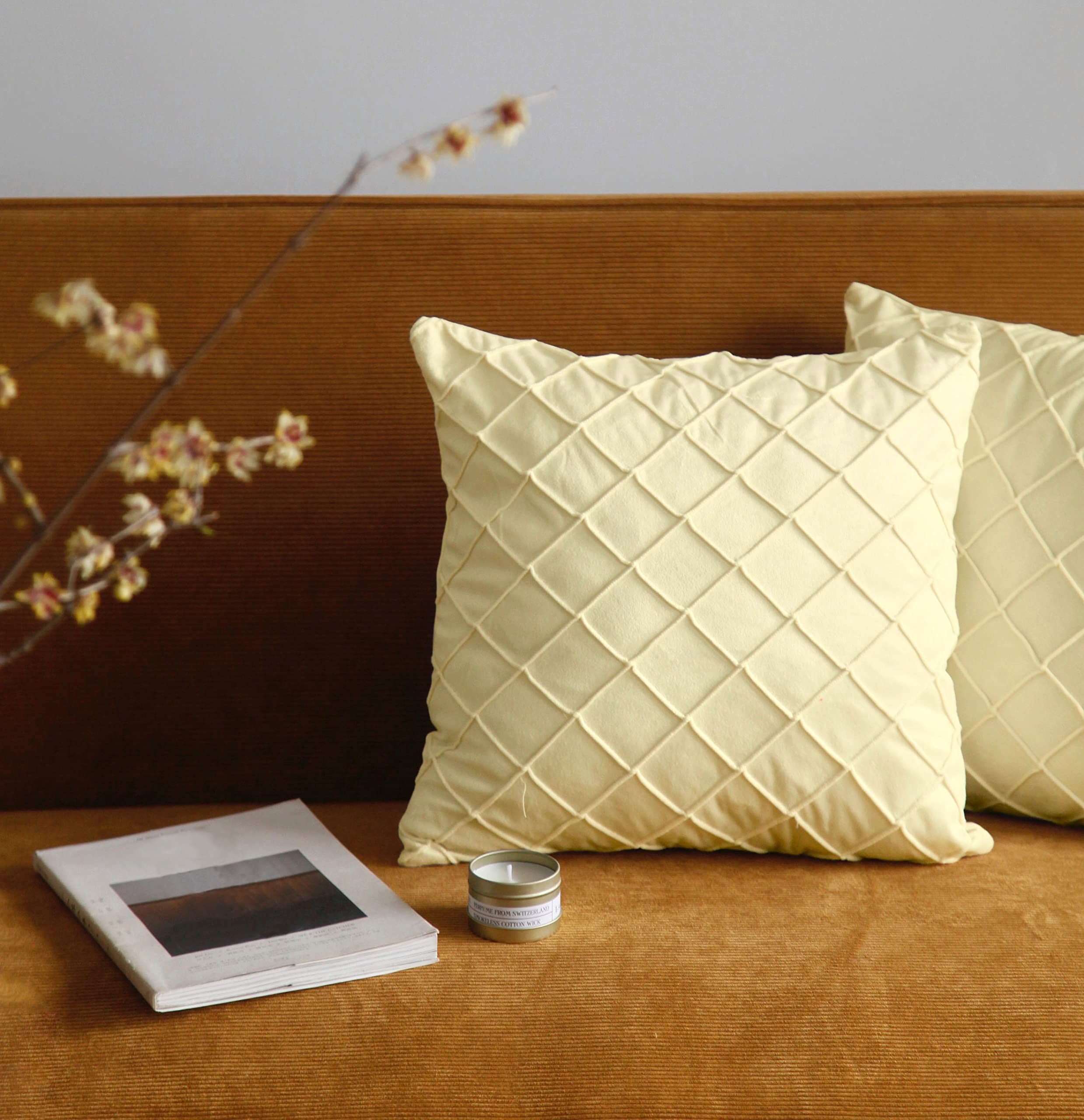 Pagnanno. Set of 2 Soft Velvet Cushion Covers 45x45cm(18x18 Inches) Squares Throw Pillowcases Cushion Covers for Chairs,living room,bedroom with Invisible Zipper (18"x18" (Pack of 2), Cream)