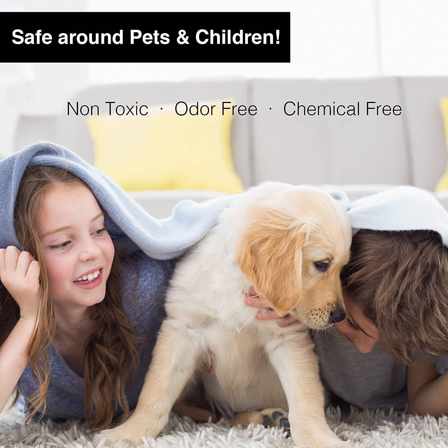 Hoont Indoor Plug-in Electric Sticky Flea Trap with Light and Heat Attracter (Includes 5-Adhesive Glue-Boards) / Eliminates Fleas, Bed Bugs, Flies, Etc. - For Residential and Commercial Use [UPGRADED]