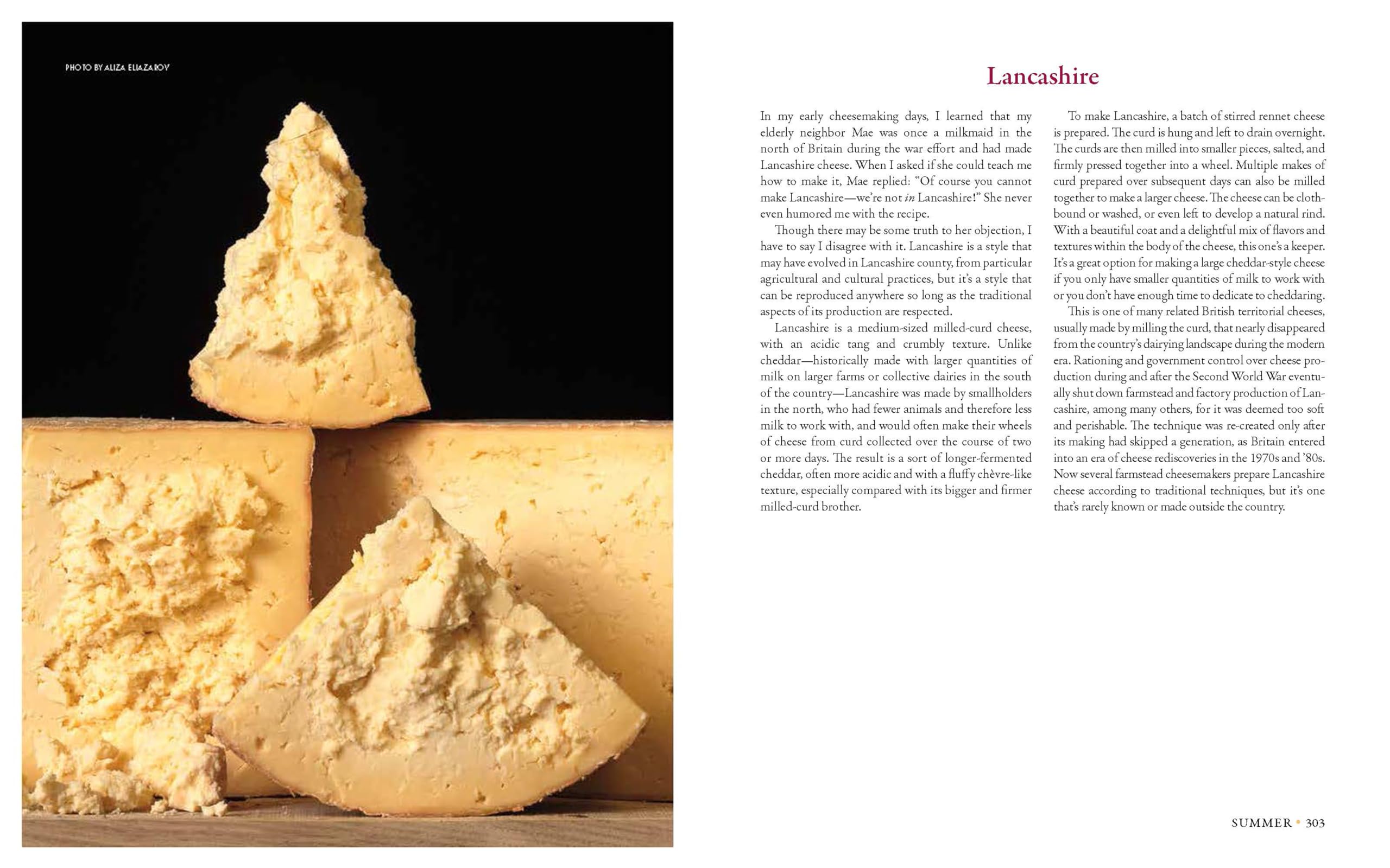 Milk Into Cheese: The Foundations of Natural Cheesemaking Using Traditional Concepts, Tools, and Techniques