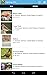 Audubon Bird Guide: North America