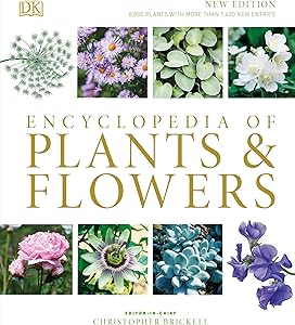 kindle best category lists