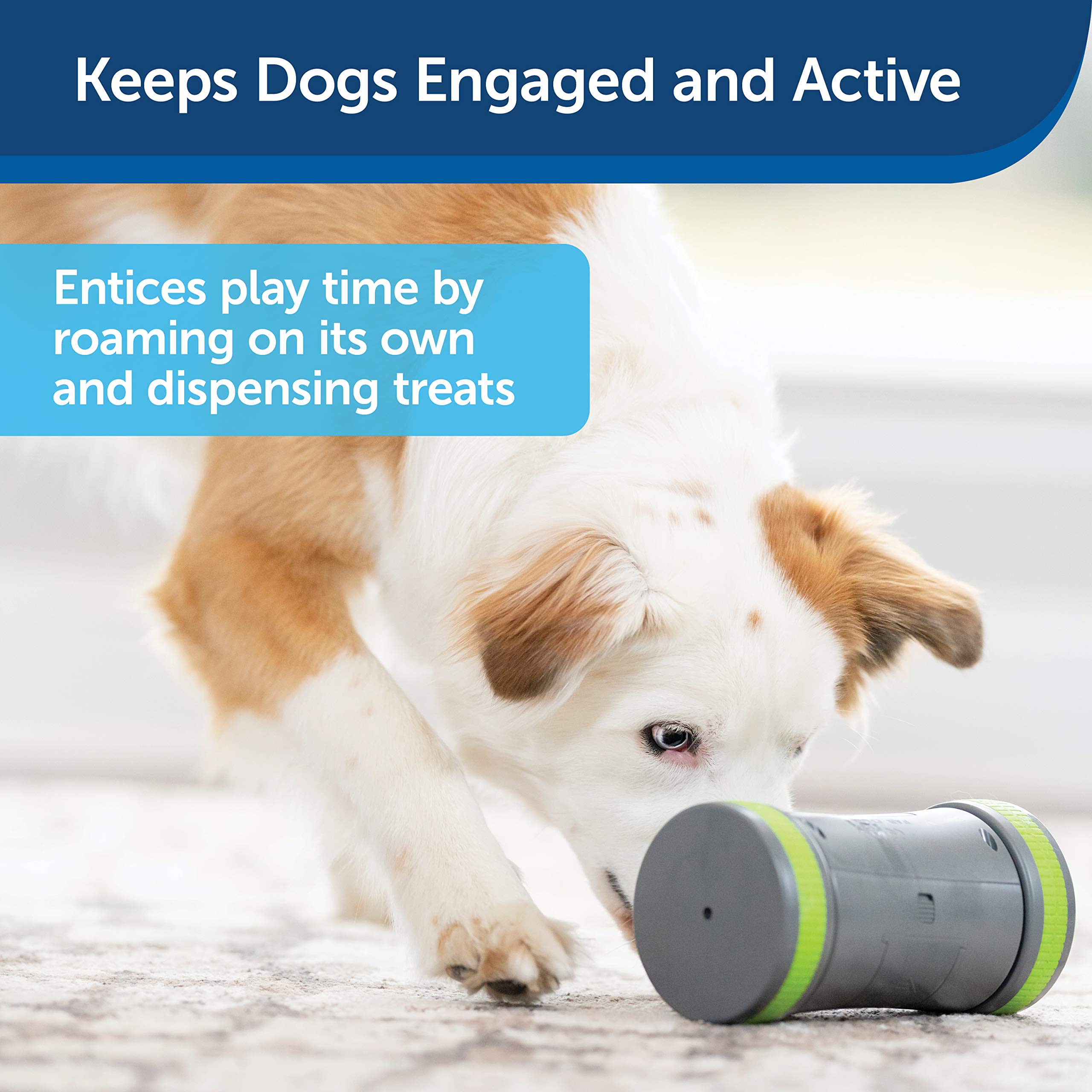 PetSafe Kibble Chase Interactive Dog Toy - Slow Feeder - Electronic Treat Dispenser - Perfect for Small, Medium, and Large Dogs