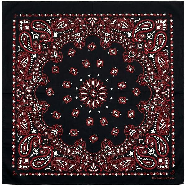Amazon.com: Zad Unisex Red Rose Paisley Print Bandana  display picture 3