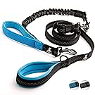 SparklyPets Adjustable Leash and 3 in 1 Shock-Absorbing Bungee Extension Set – Heavy Duty Dog Leash for Medium and Large Breeds Made from Durable Nylon – Reduces Pulling Shocks and Prevents Injuries