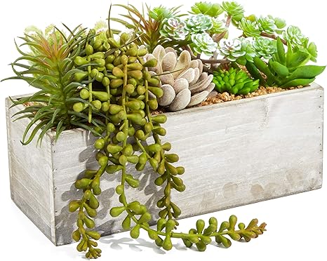 Amazon Co Jp Juvale 人工多肉植物 木製プランター付き 10個詰め合わせ ホーム キッチン