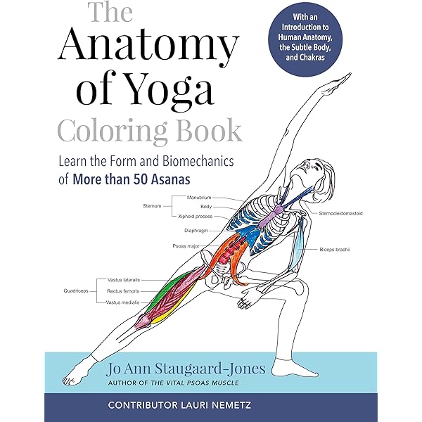 Anatomy and Yoga: A Guide for Teachers and Students: Ellen