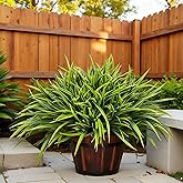 AevrBlos 12 Bundles Artificial Outdoor Plants UV Resistant Fake Grass Plants Faux Plastic Greenery Shrubs for Home Garden Pathway Window Box Front Porch Spring Summer Decor, Green