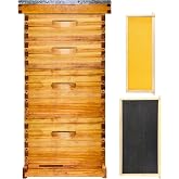 Hiveaura 10 Frame Langstroth Bee Hive Beeswax Coated Includes Beehive Frames and Foundations (2 Deep Boxes &amp; 2 Medium Boxes)