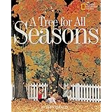 A Tree for All Seasons (Rise and Shine)
