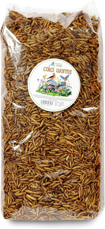 Hungry Wings Wild Bird Food Calci Worms 1kg Premium Feed